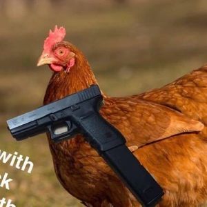 Meet your Posher, Kat